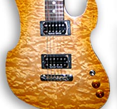 Click here to see examples of DiSalvo electric guitars.