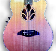 Click here to see examples of DiSalvo acoustic guitars.