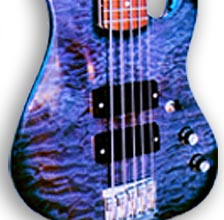 Click here to see examples of DiSalvo basses.