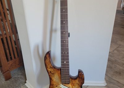 DiSalvo Baritone