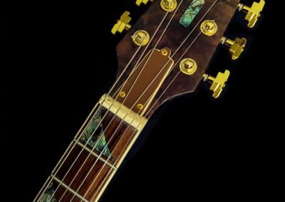 DiSalvo Custom